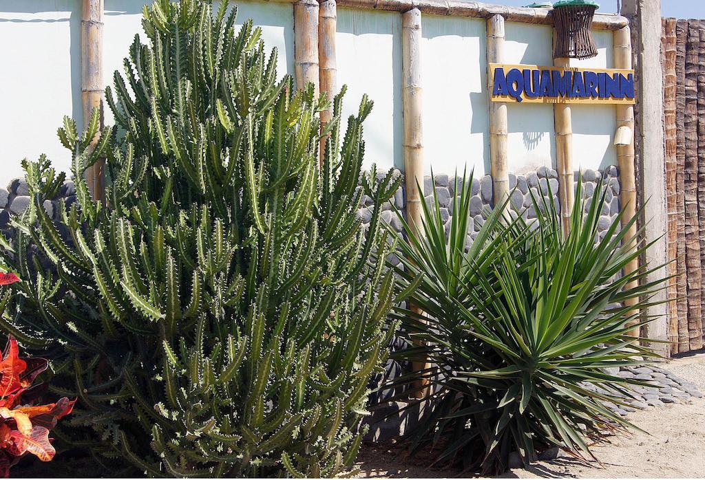 Aquamarinn Mancora Ngoại thất bức ảnh