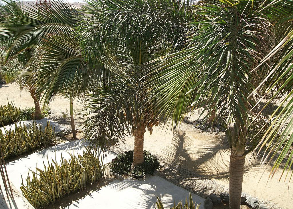 Aquamarinn Mancora Ngoại thất bức ảnh